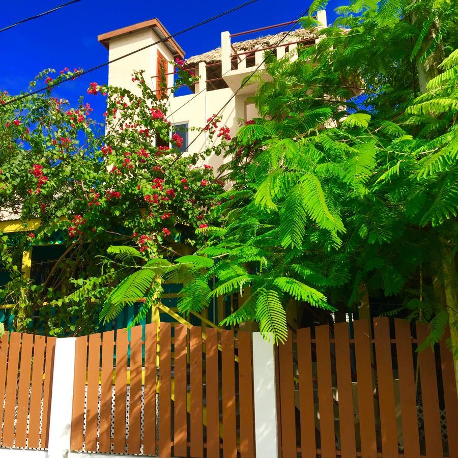 Yocamatsu Bed and Breakfast Caye Caulker Buitenkant foto